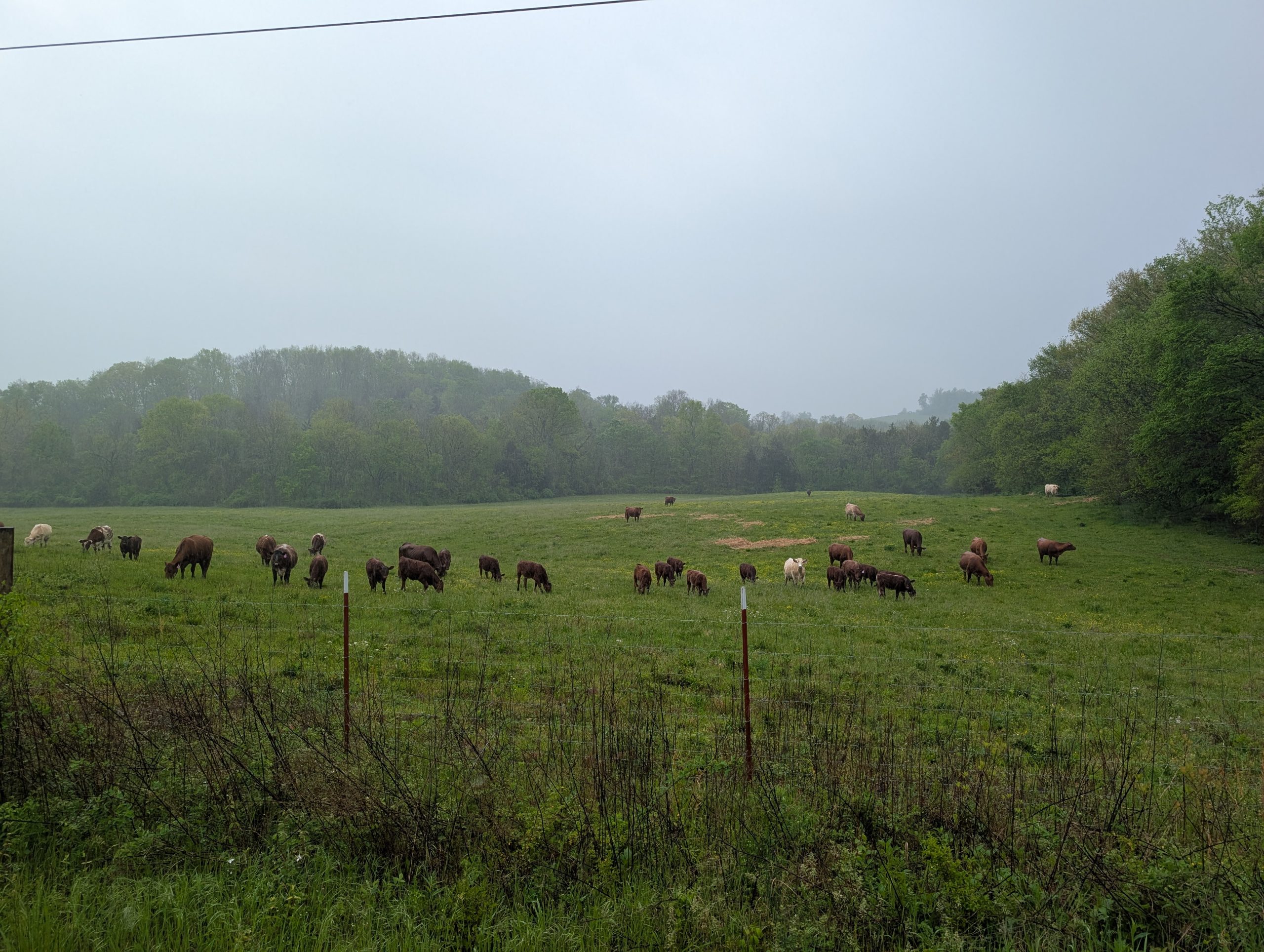 Silo Hill Bottom on a rainy day